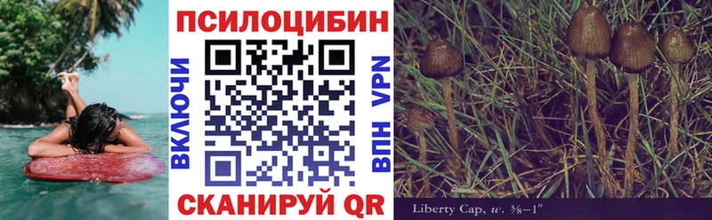 Псилоцибиновые грибы Psilocybine cubensis  Купить где  Богданович 